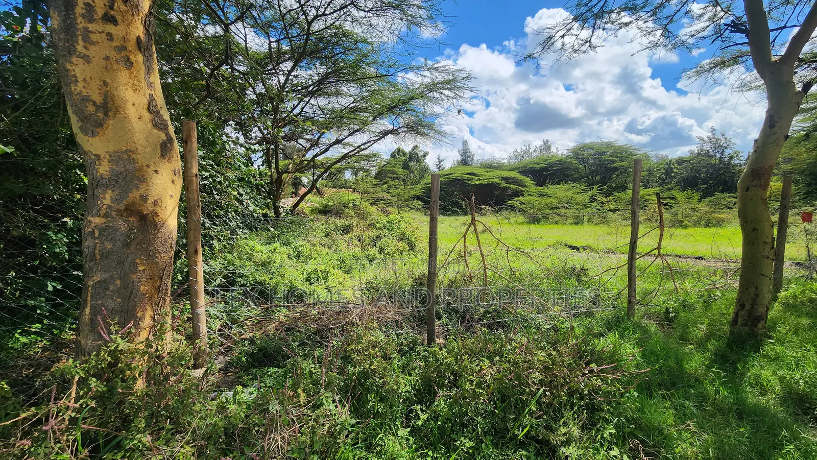 Plot for Sale Near Green Garden School Nazarene Area