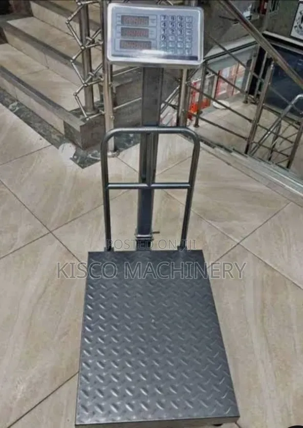 300kg Industrial Commercial Weighing/Platform Scale