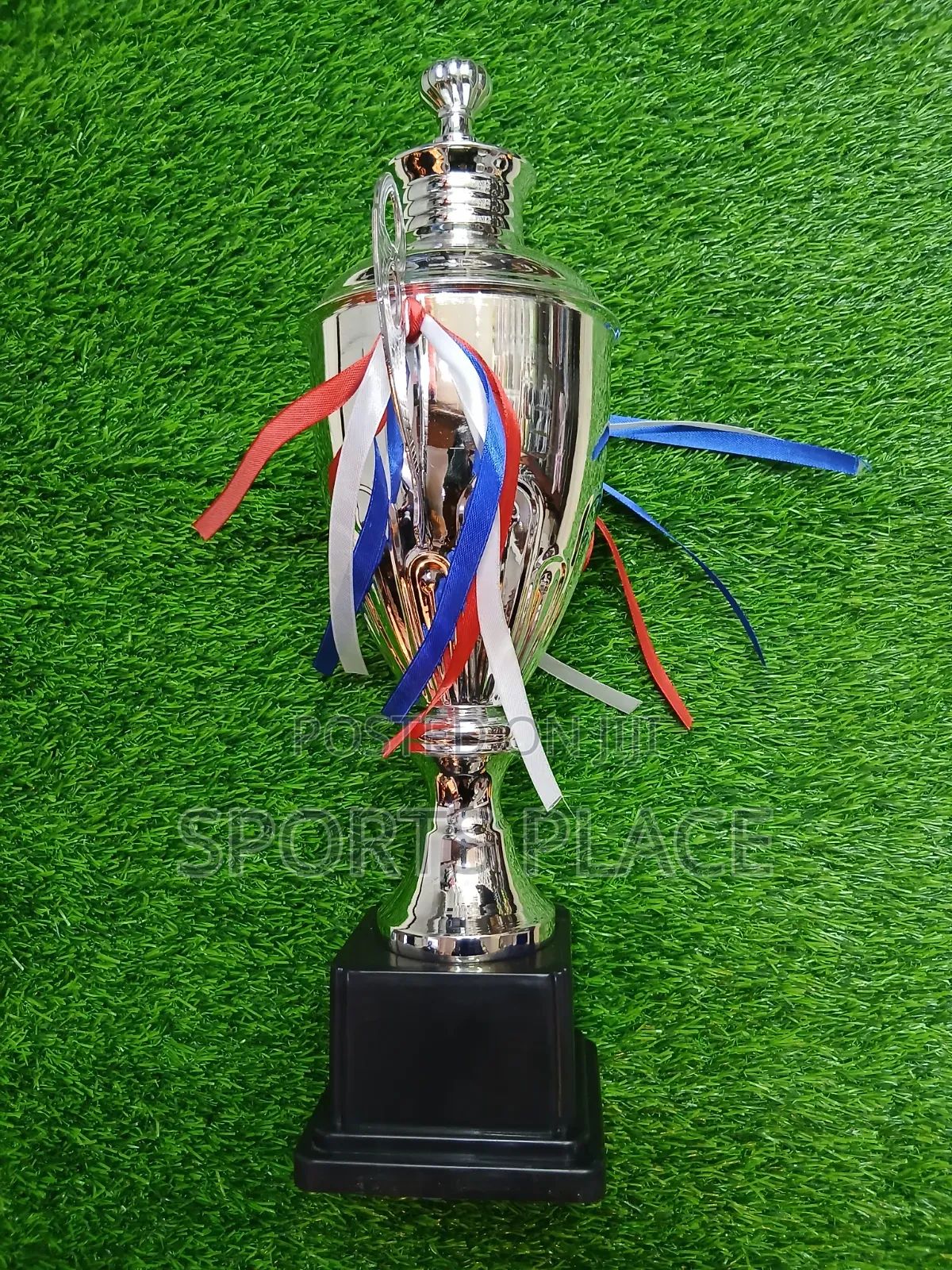 Award Trophy - Silver