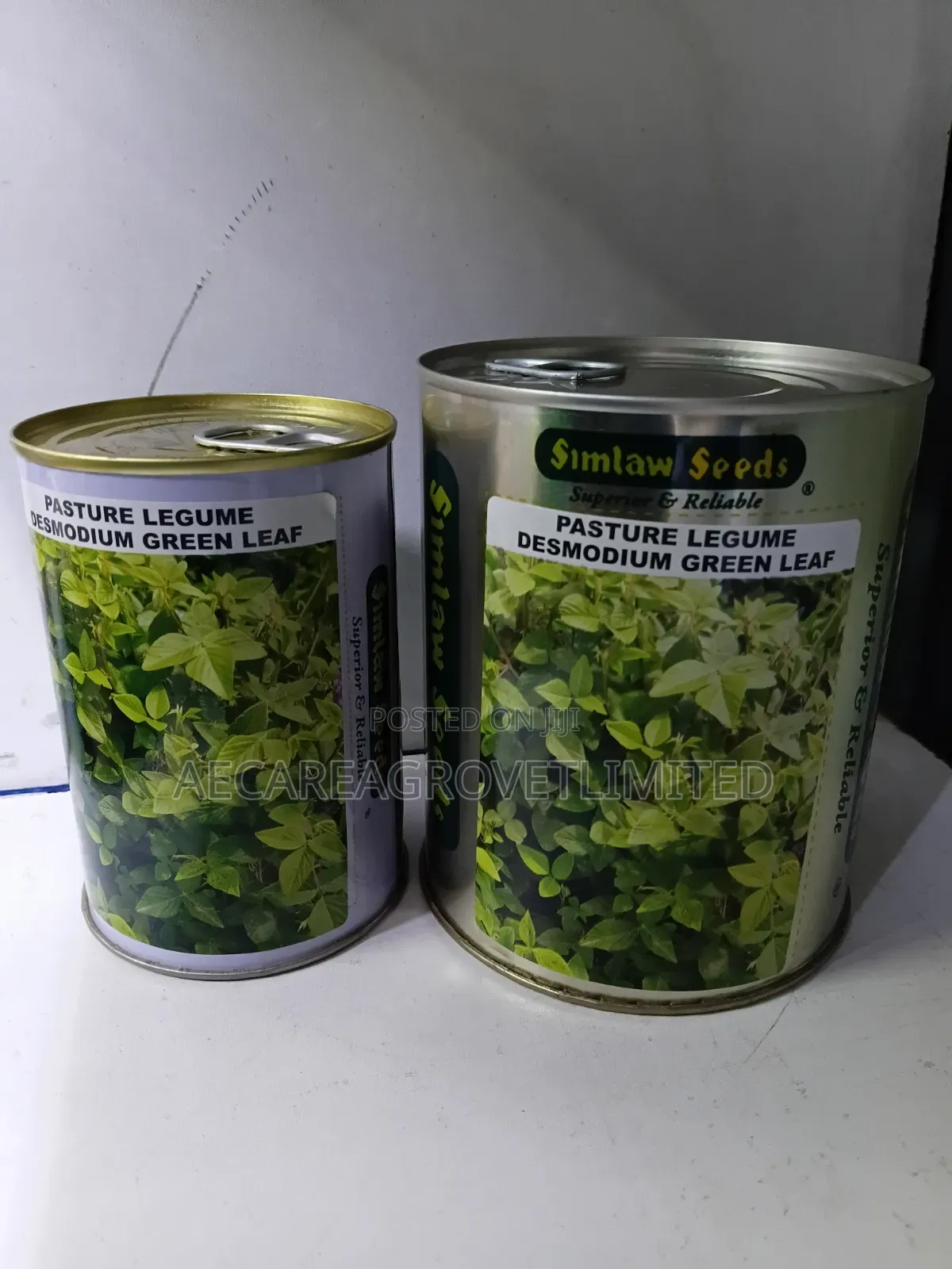 Desmodium Pasture Legume Green Leaf 100g, 250g