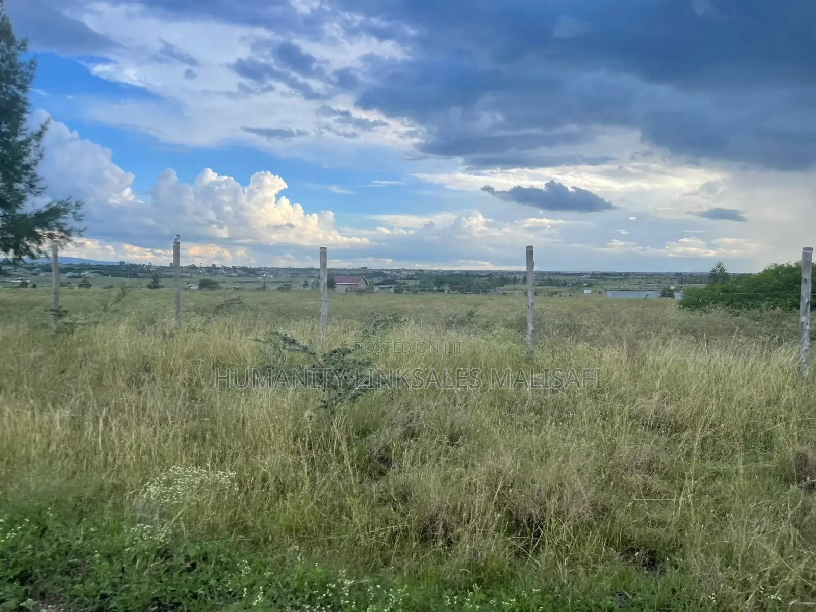 50 by 100 Plots,Mwalimu Farm 5km From Kagundo Road
