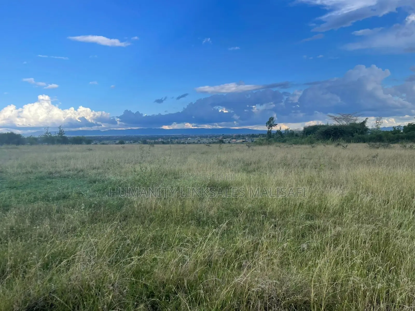 50 by 100 Plots,Mwalimu Farm 5km From Kagundo Road