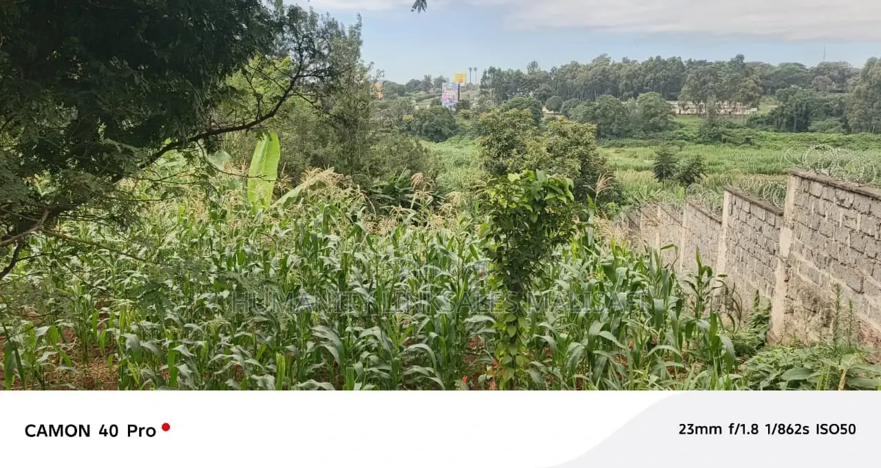 Thome Balozi Estate Land for Sale