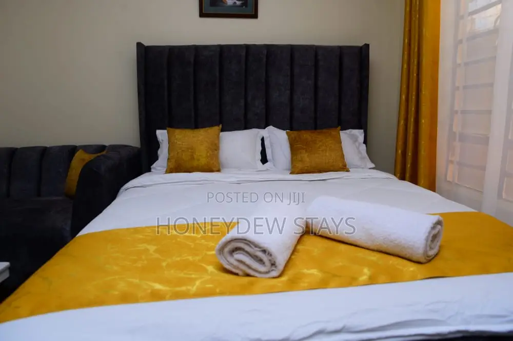 Executive Studio in Kitengela Town Along Balozi Road