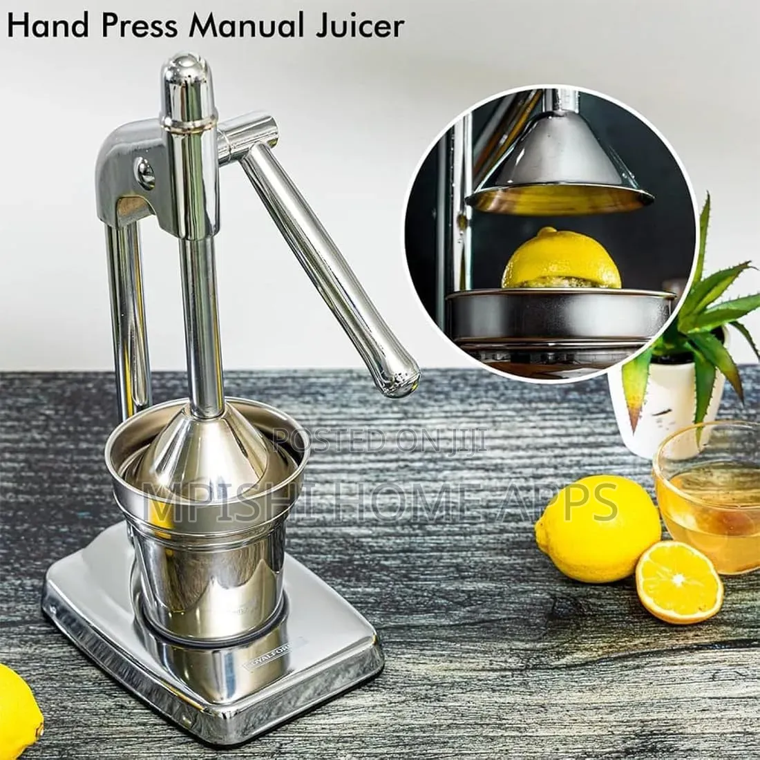 Manual Citrus Juicer