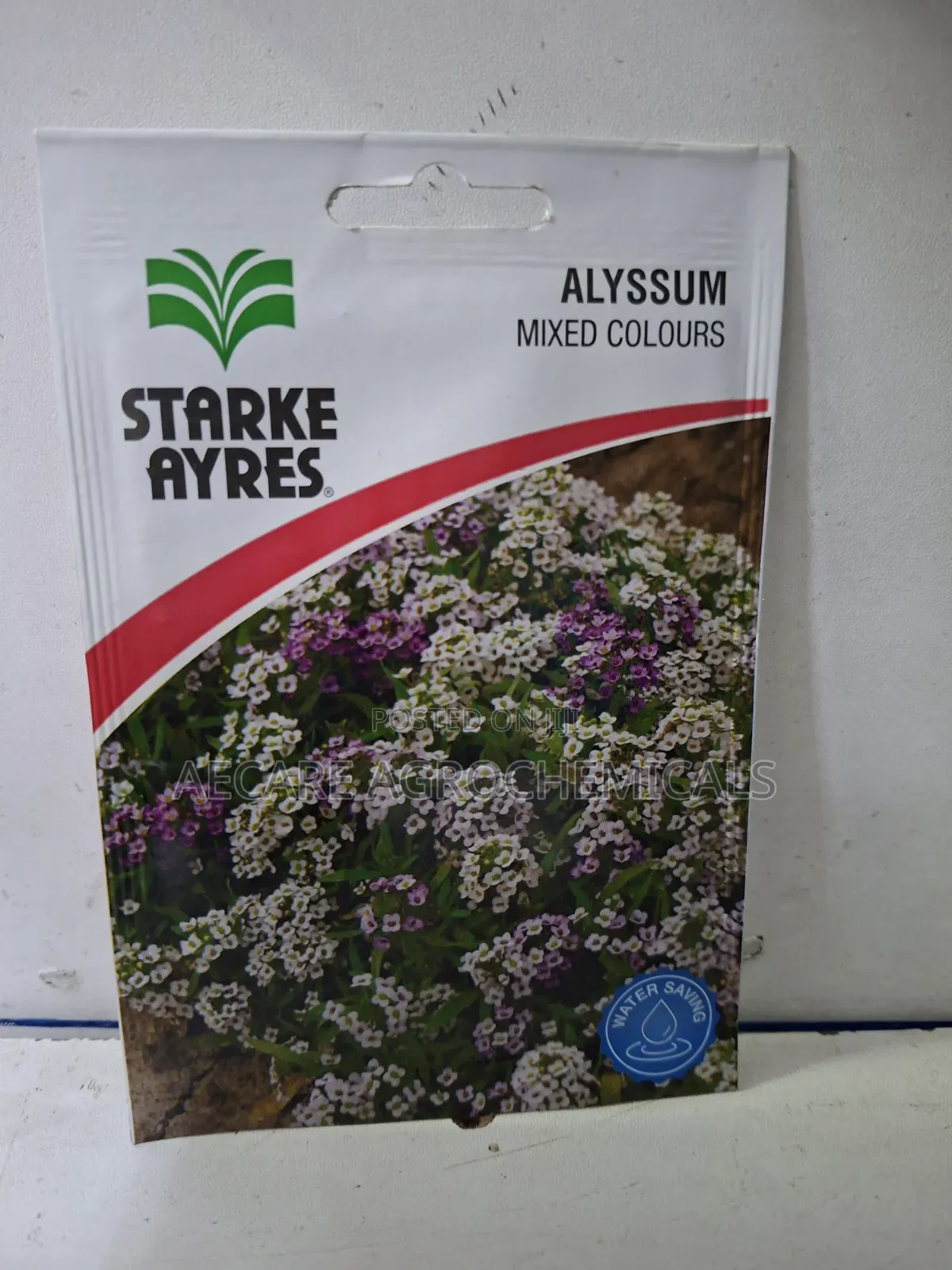 Alyssum Mixed Colours Flower Seeds 0.6 Grams