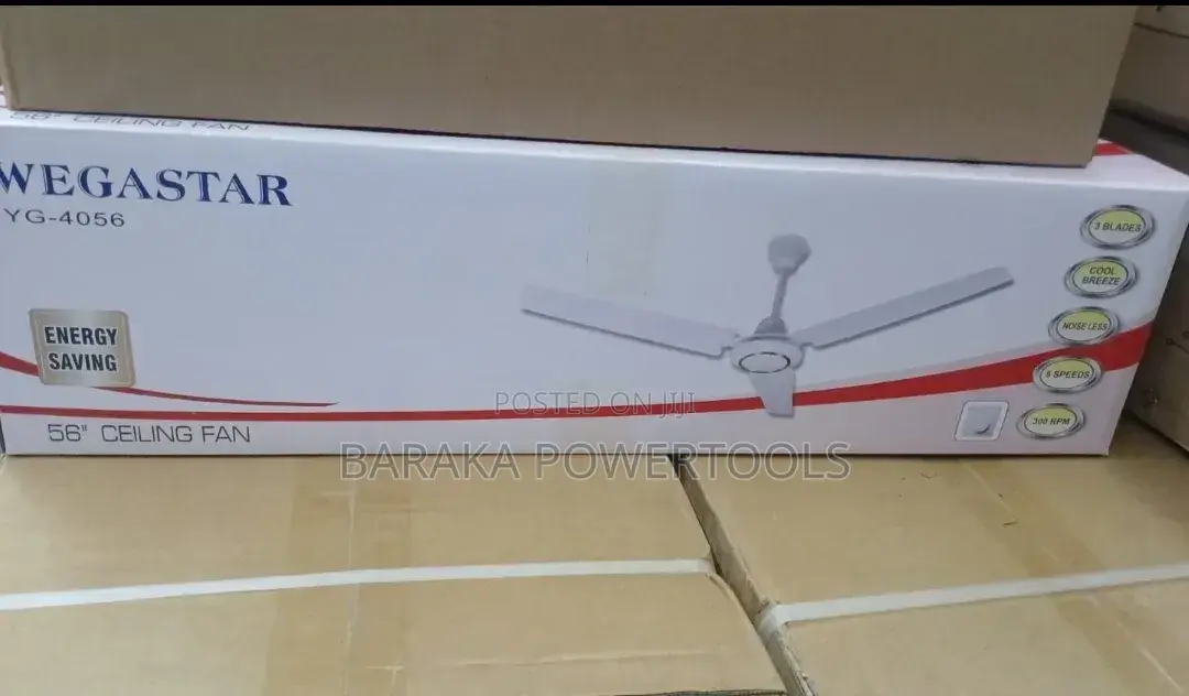 Ceiling Fan