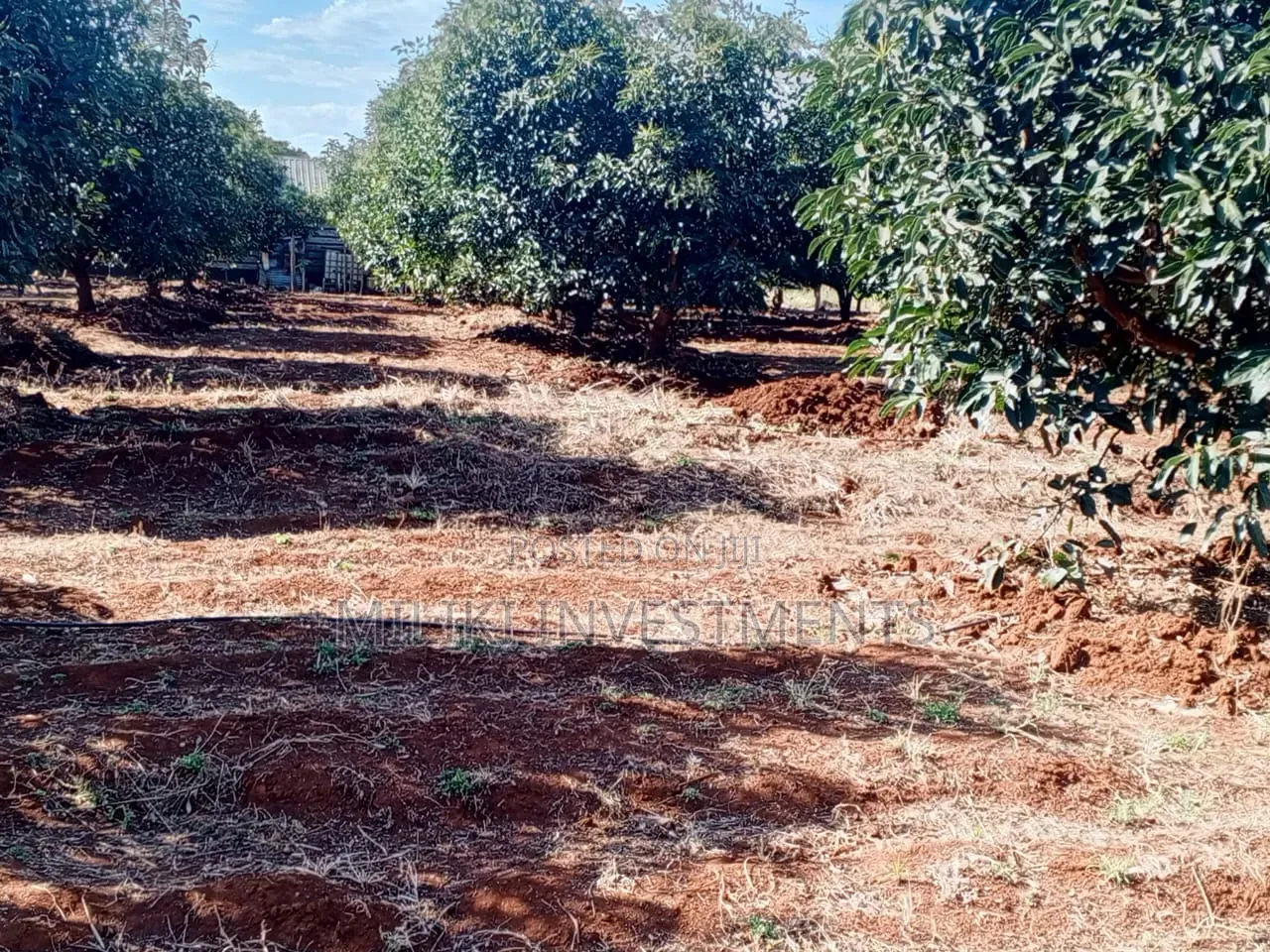 7.5 Acres on Sale at Mwea -Embu
