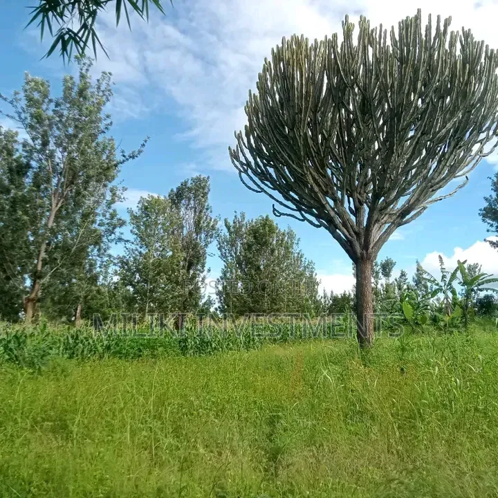 1 Acre on Sale Murang'a -Gatanga