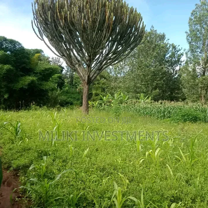 1 Acre on Sale Murang'a -Gatanga