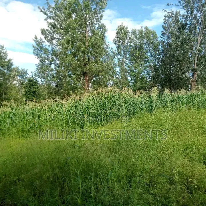 1 Acre on Sale Murang'a -Gatanga