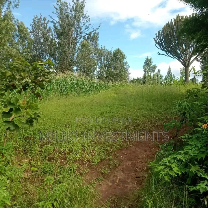 1 Acre on Sale Murang'a -Gatanga