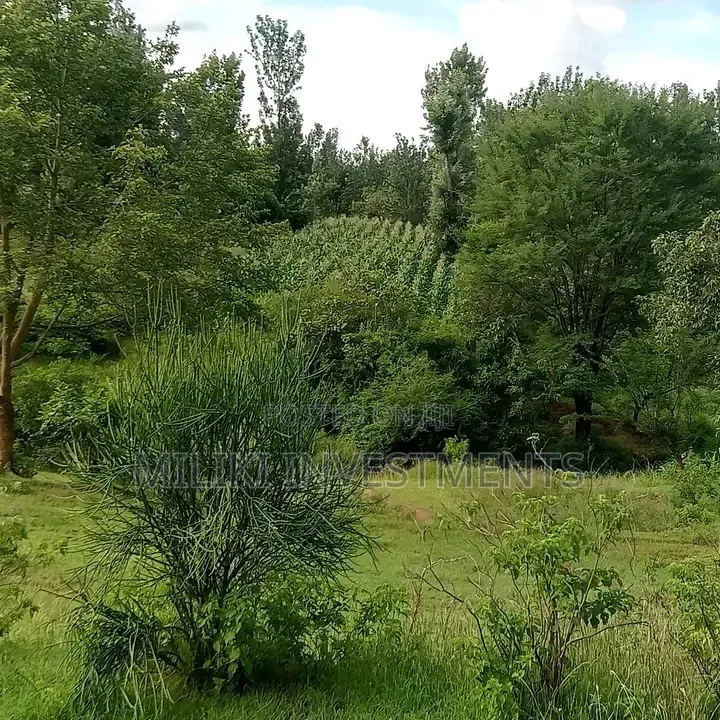 1 Acre on Sale Murang'a -Gatanga