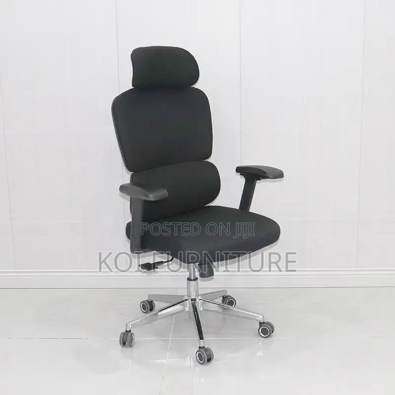 Office Chair : B210 Bionic Ergonomic High Back Chair