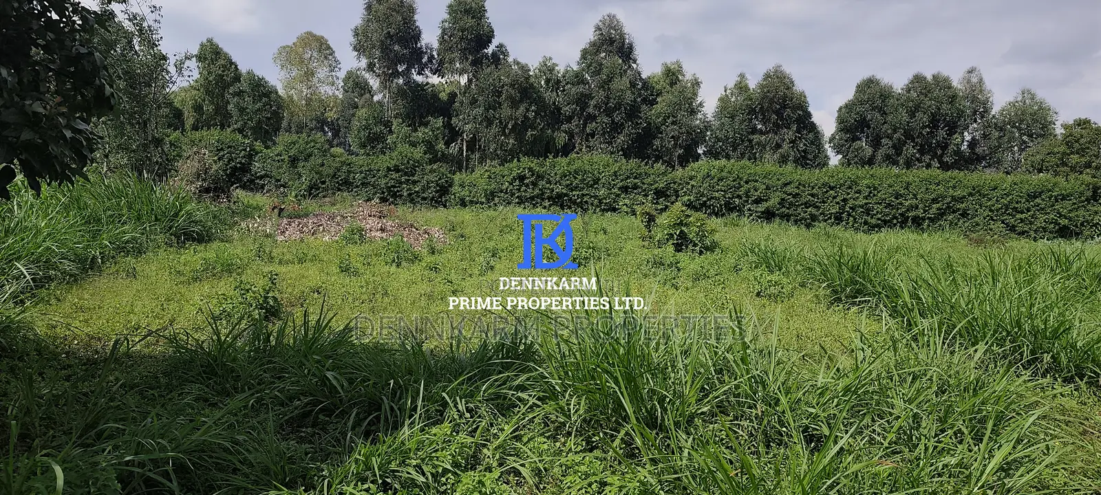 Prime Residential Plot for Sale in Kikuyu, Ondiri, Skyline