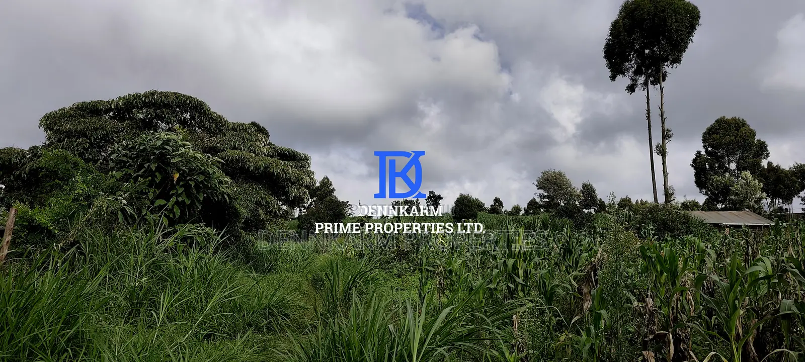 Residential Plots – Kikuyu, Kerwa (Muguga Jet Scheme
