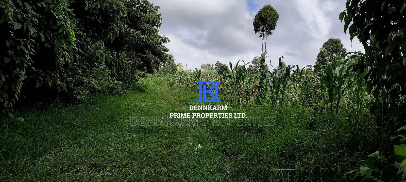 Residential Plots – Kikuyu, Kerwa (Muguga Jet Scheme