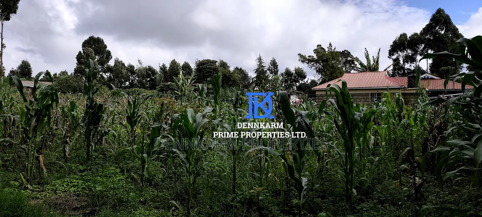 Residential Plots – Kikuyu, Kerwa (Muguga Jet Scheme