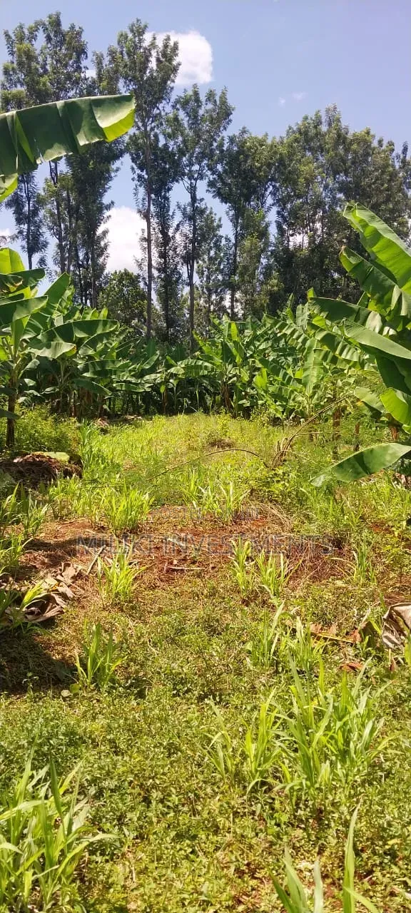 3 Acres on Sale at Summary- Maragua