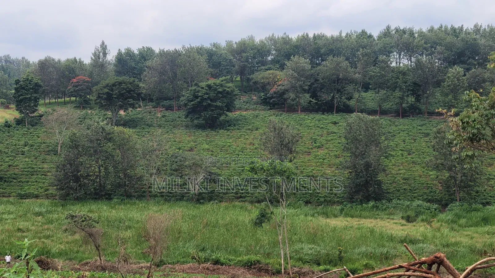 454 Acres on Sale at Gatanga