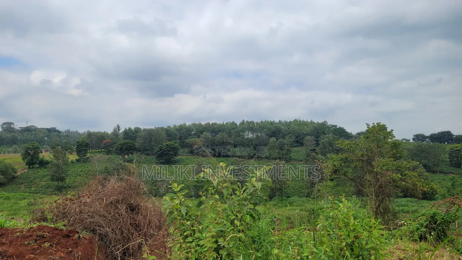 454 Acres on Sale at Gatanga