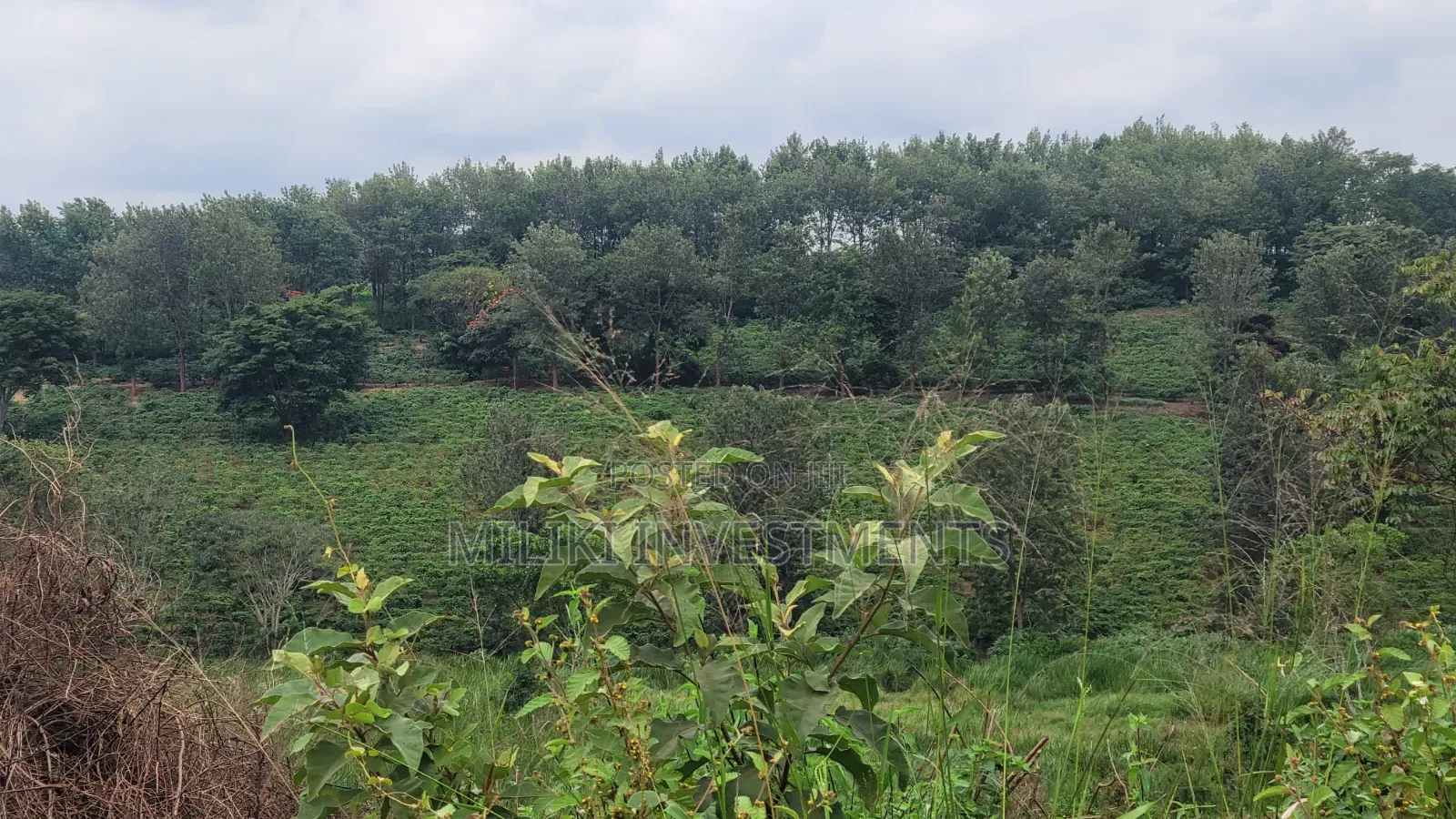 454 Acres on Sale at Gatanga