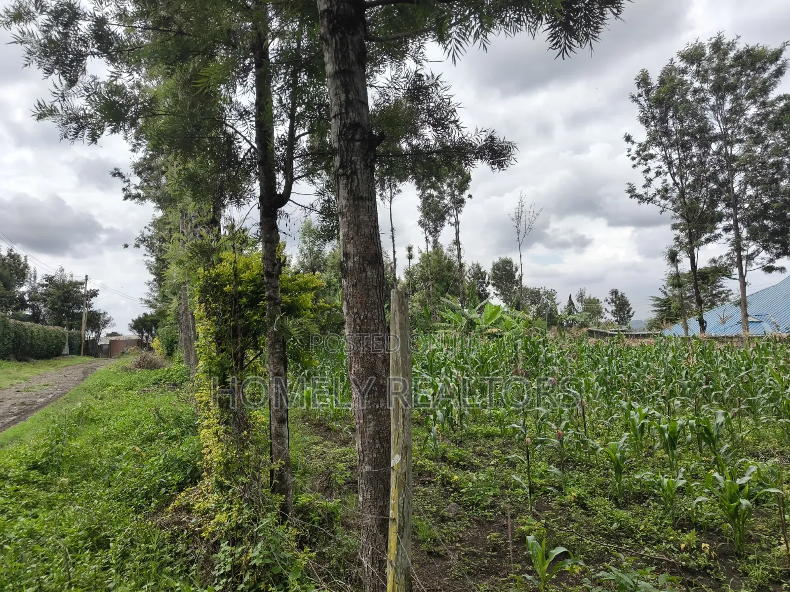 Quarter Acre Plot for Sale in Ngong Along Oloika Road