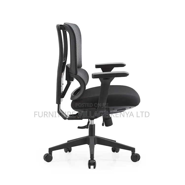 Orthopedic Ergonomic Adjustable Presidential Chair