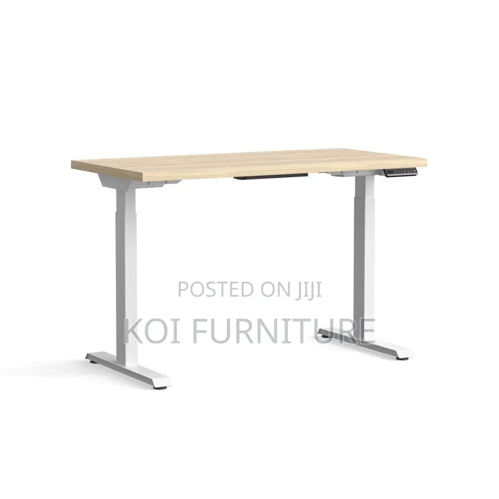 Office Desk; Aeeroplus 1.2 Meters Electric Modern Adjustsable Desk