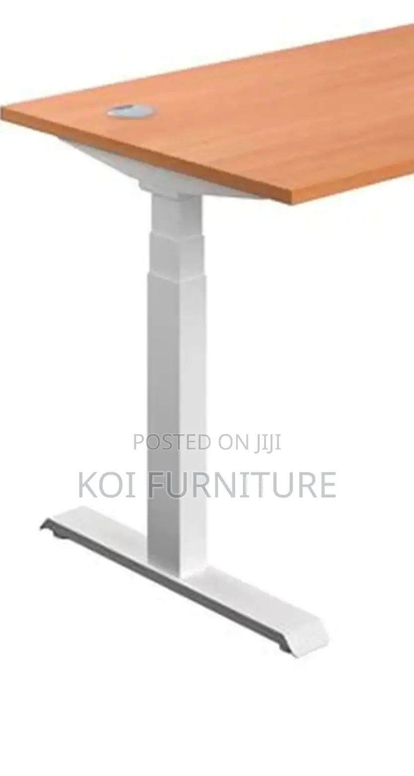 Office Desk; Aeeroplus 1.2 Meters Electric Modern Adjustsable Desk