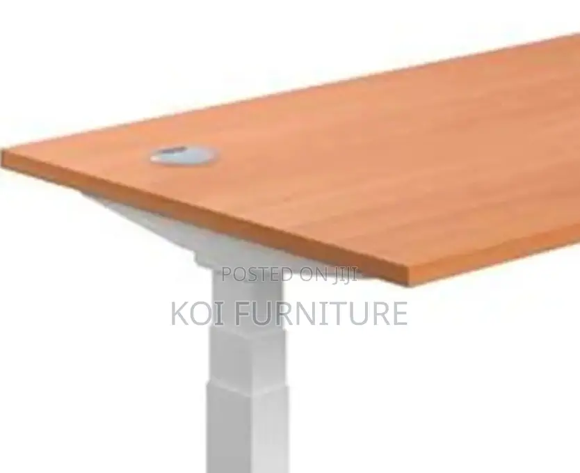 Office Desk; Aeeroplus 1.2 Meters Electric Modern Adjustsable Desk