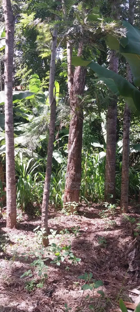 3 Acres on Sale Summary Area-Casablanca