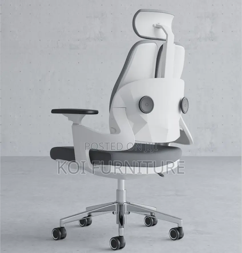 Office Chair : Dual Orthopedic Seat – Ergonomic Comfortable
