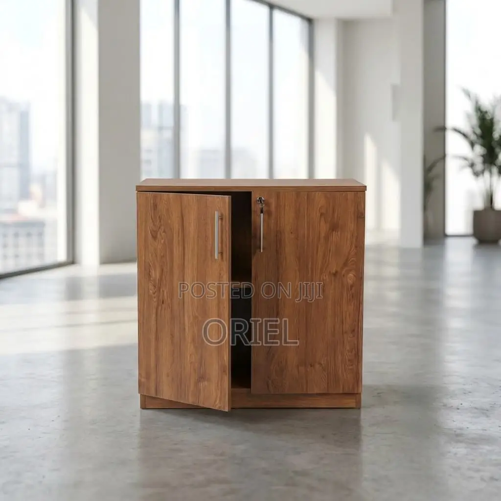 Organizer Cabinet : 2-Door Office Filing Cabinet Credenza