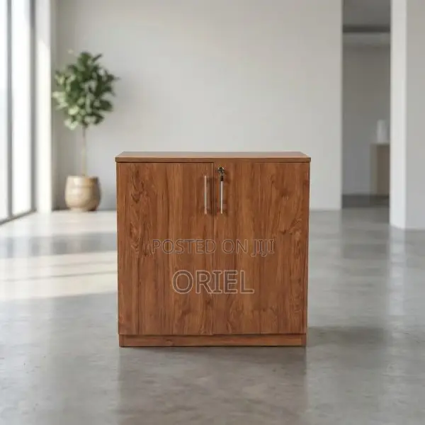 Organizer Cabinet : 2-Door Office Filing Cabinet Credenza