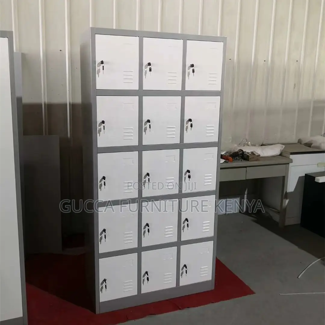 15-Door's Imported Gym/School Storage Locker