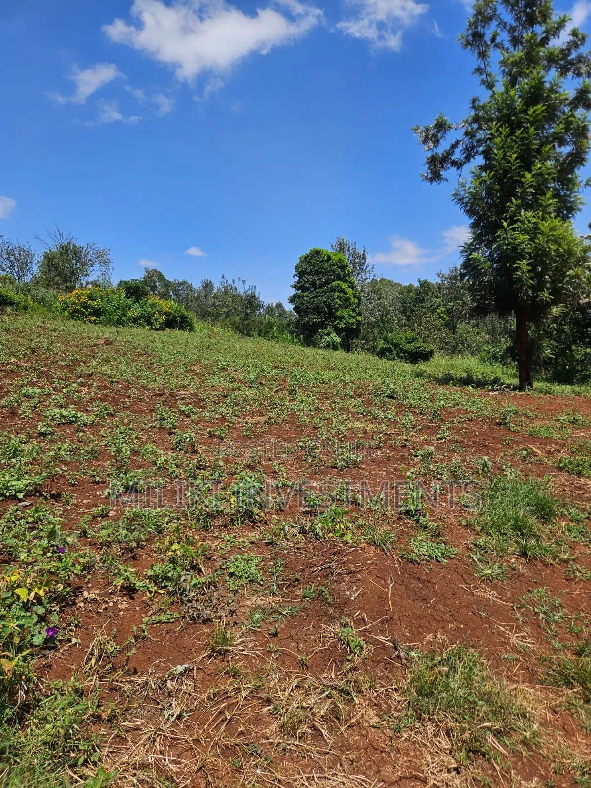 Half an Acre on Sale at Kenol-Kagaa
