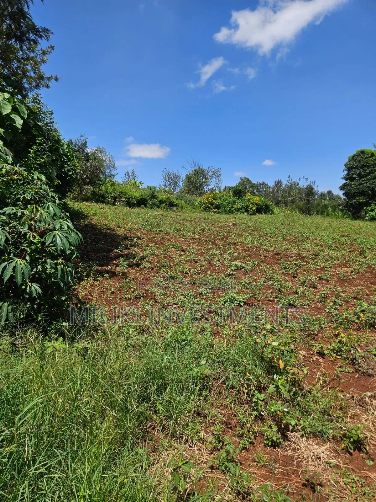 Half an Acre on Sale at Kenol-Kagaa