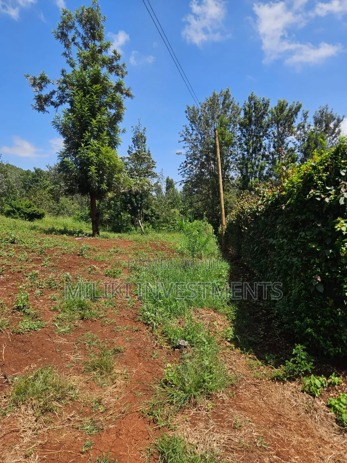 Half an Acre on Sale at Kenol-Kagaa