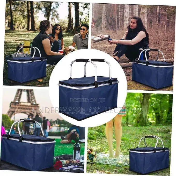 30l Foldable Insulated Picnic Bag