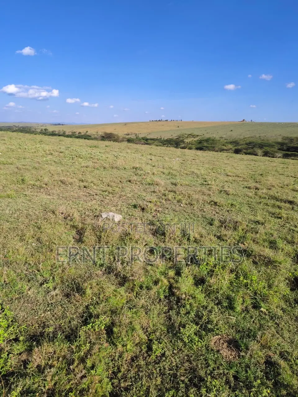 35 Acres for Sale in Inkiito