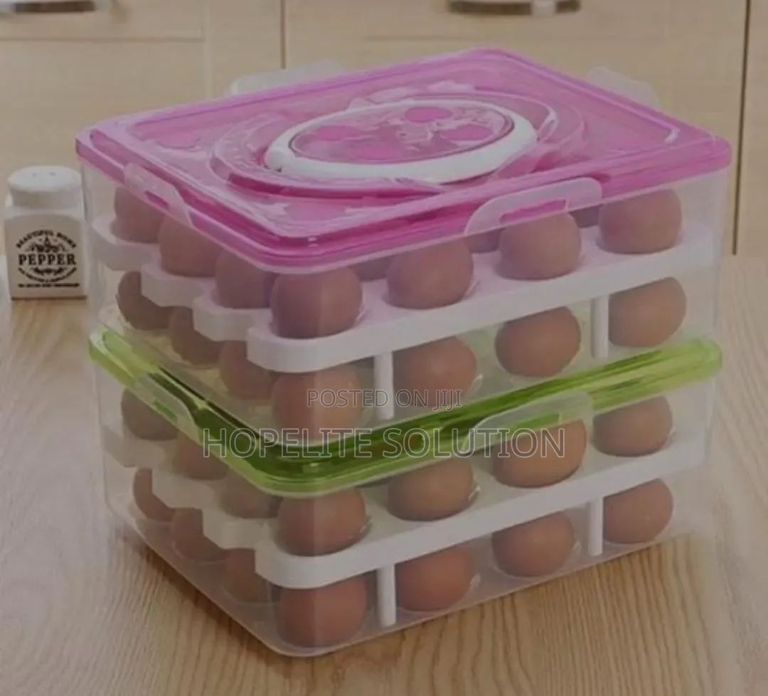 2 Layers 32pc Egg Tray Orgnizer