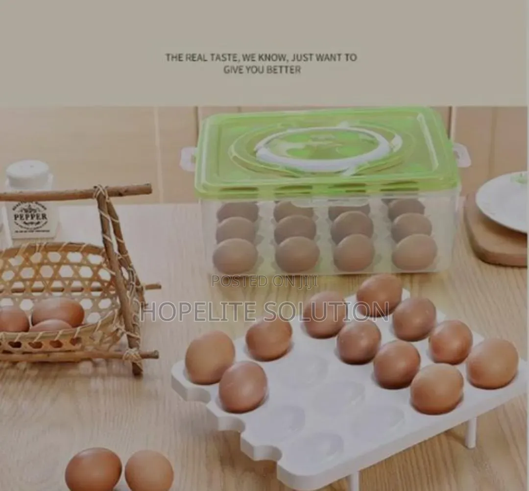 2 Layers 32pc Egg Tray Orgnizer