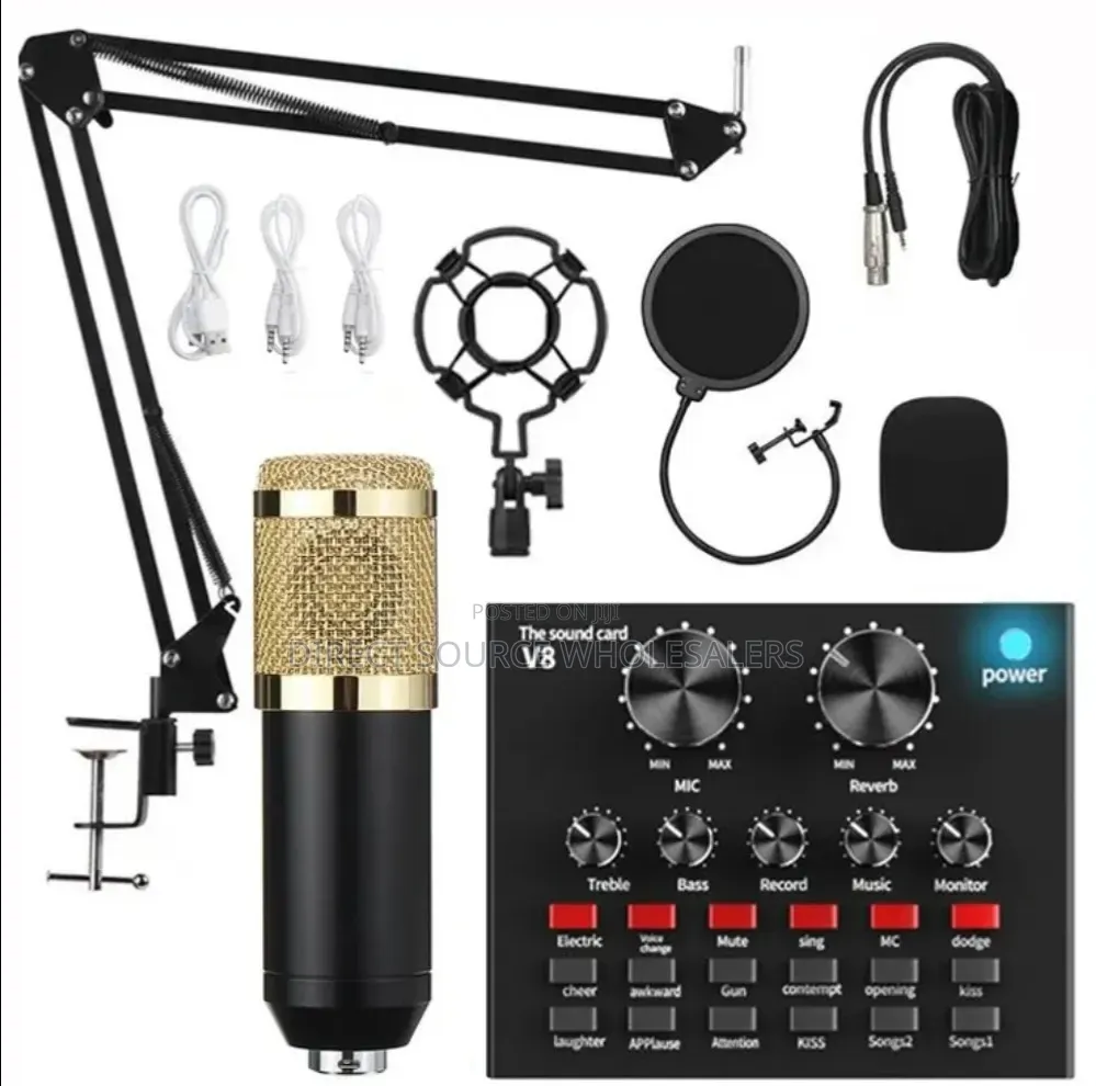 Bm800 Professional Condenser Microphone With V8 Sound Card