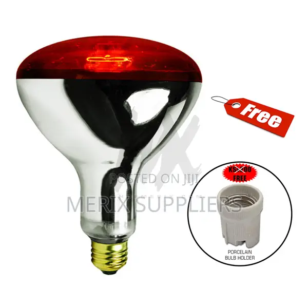Infrared Heat Lamp Chicken Bulb + Free Bulb Holder