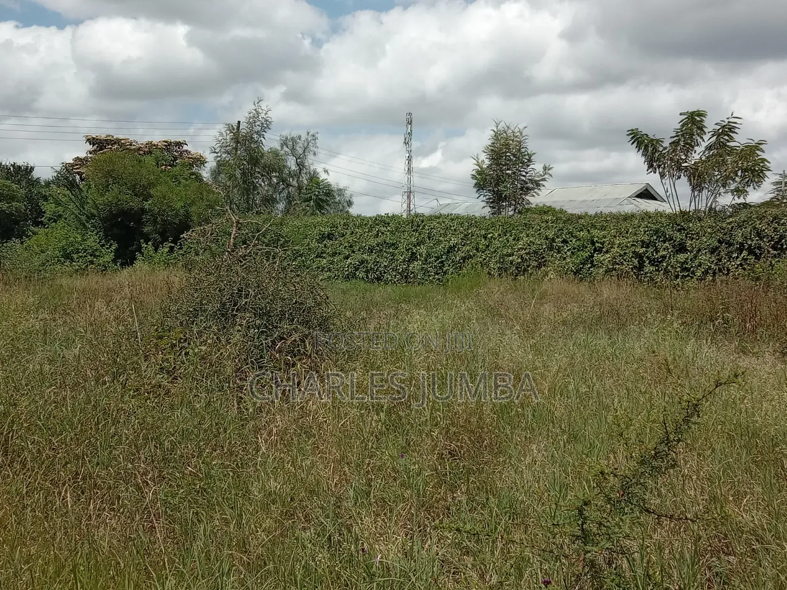 1/4 Plot at Acacia Crest Academy