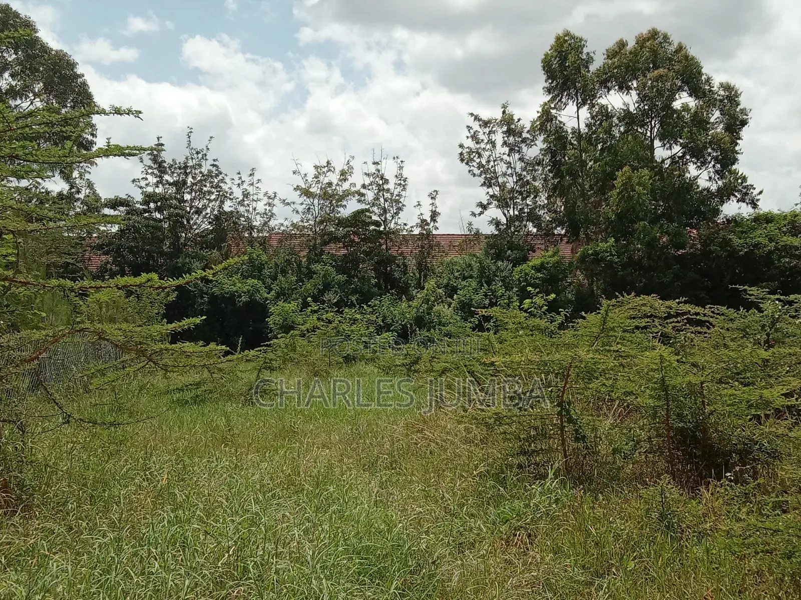 1/4 Plot at Acacia Crest Academy