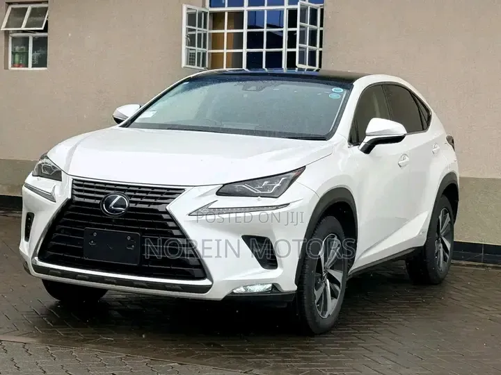 Lexus NX 300 AWD 2020 White