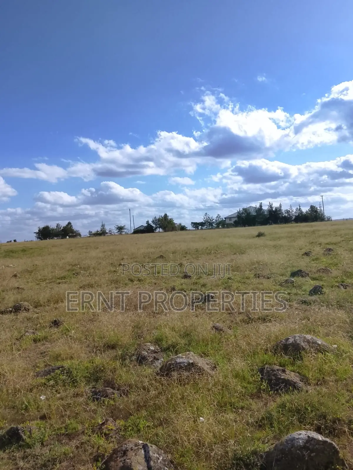 Quick Sale. Two Quarter Acre Plots Near Santoki at KSH