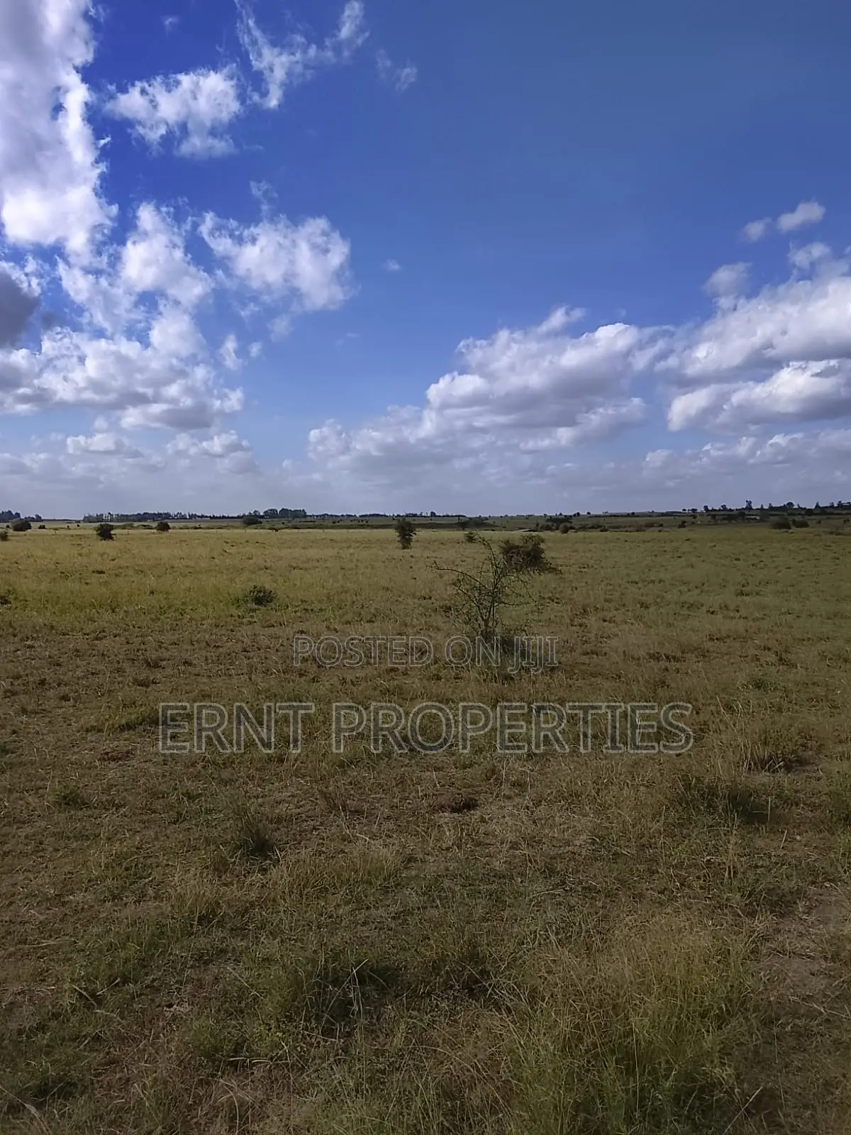 Quick Sale. Two Quarter Acre Plots Near Santoki at KSH